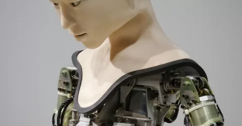 white and brown human robot illustration